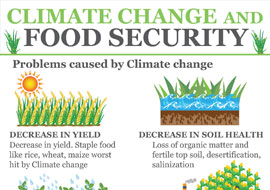 Climate Change and Food Security